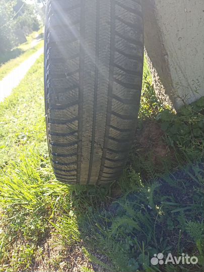 Amtel NordMaster 195/65 R15