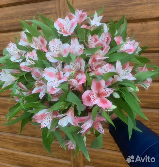 Альстромерия букеты цветы