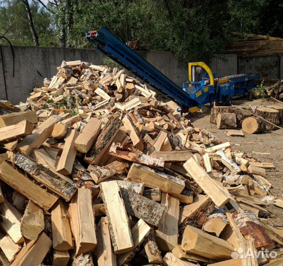 Дрова береза