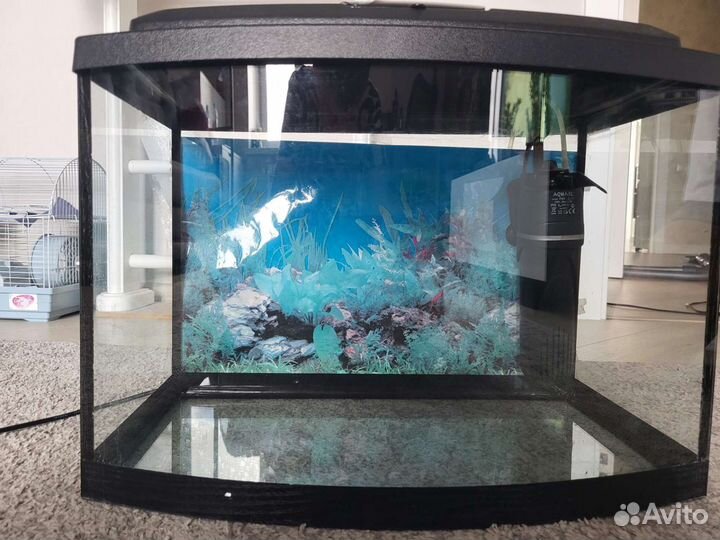 Аквариум
