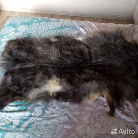 Шкура волка