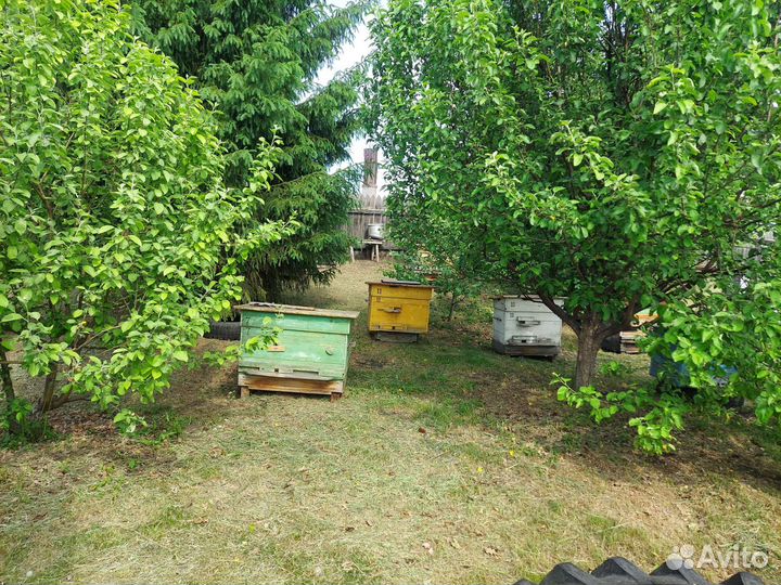 Улей для пчел бу