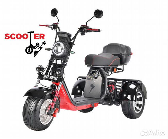 Электросамокат WS-Pro Trike