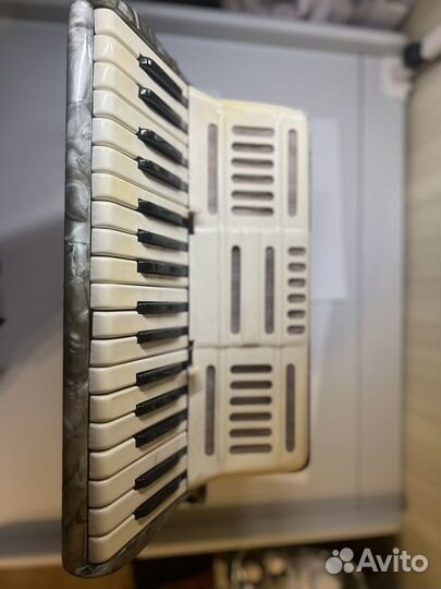 Аккордеон детский