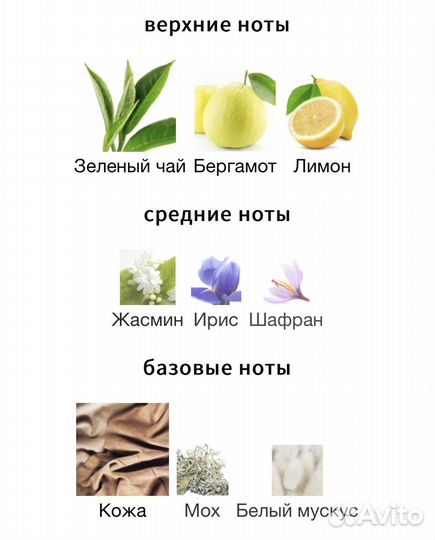 Memo Paris - Eau de Memo 10 мл