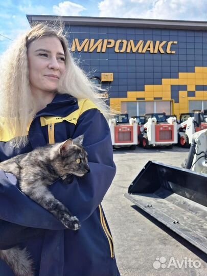 Мини-погрузчик Lonking CDM308, 2024