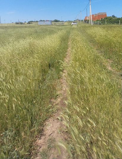Участок 10 сот. (ИЖС)