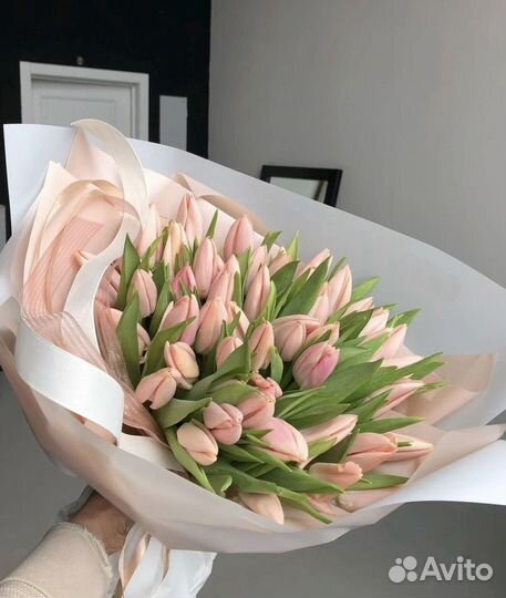 Тюльпаны коралл необычные