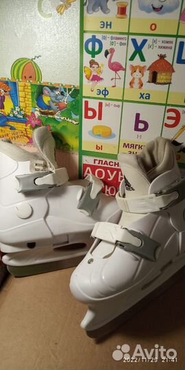 Зимние виды