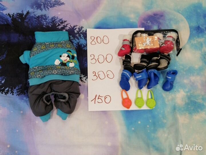 Одежда для маленьких пород собак