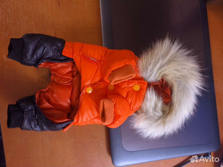 Комбинезон с капюшоном для маленькой собаки