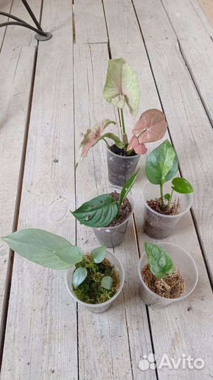 Наборы по одной цене