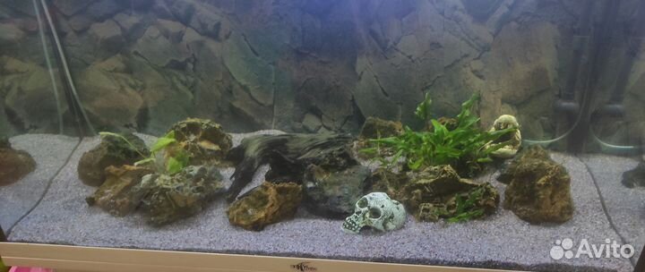 Аквариум Биодизайн Риф250