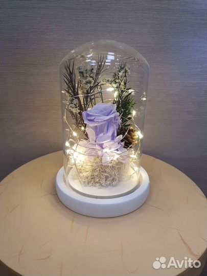 Живая роза в колбе