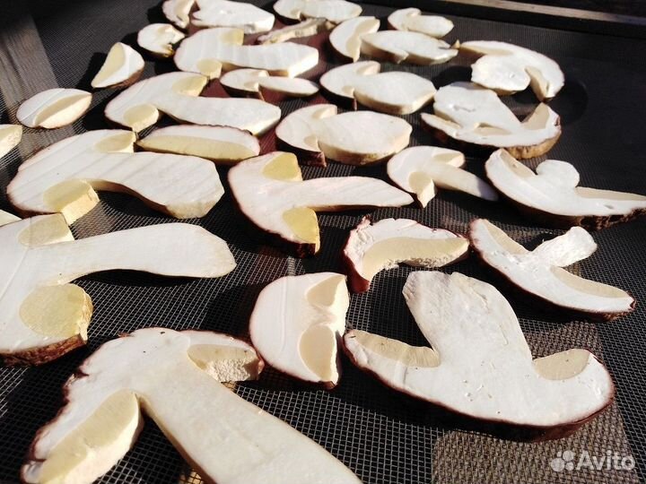 Белый сушеный гриб оптом