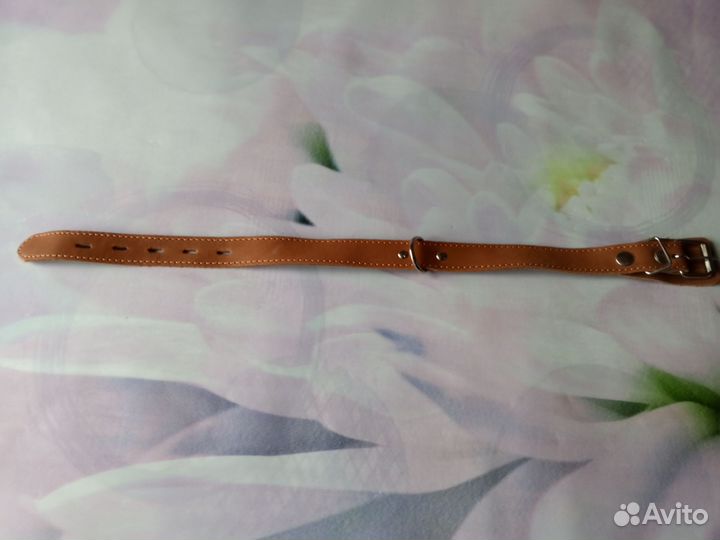 Ошейник для собак