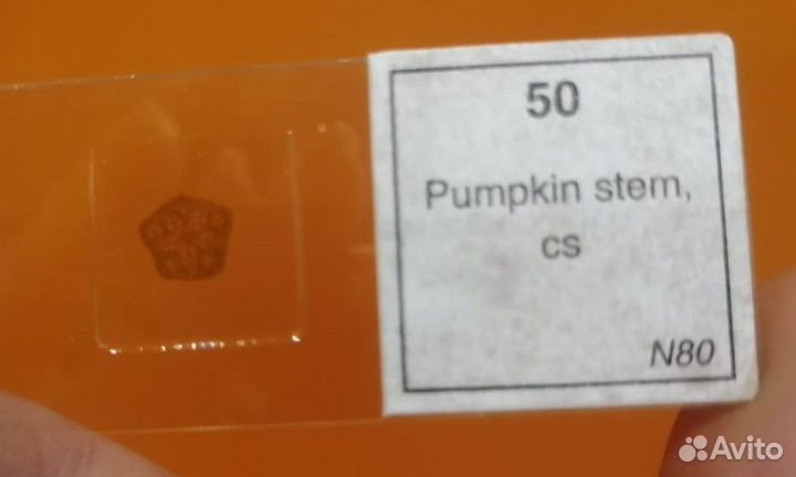 Микроскоп Levenhuk Rainbow 2L plus Moonstone