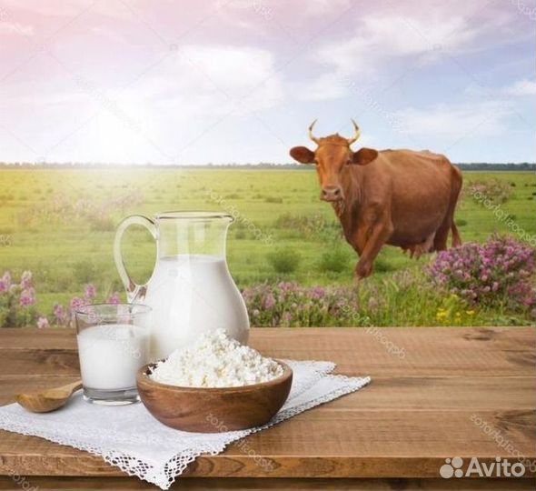 Домашняя молочная продукция оптом
