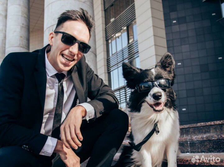 Кинолог Воспитание и трюковая дрессировка собак