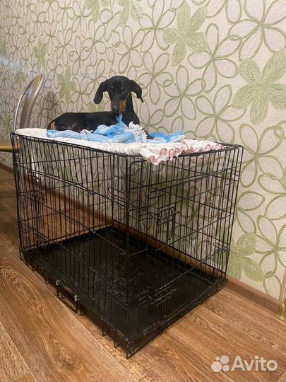 Клетка вольер для собак бу