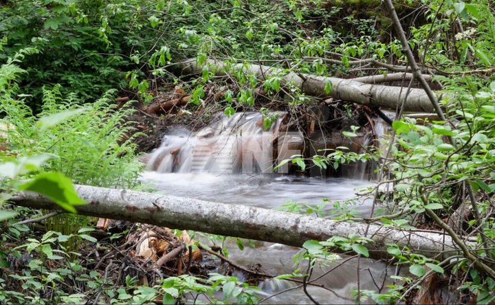 Дом 386 м² на участке 11 сот.