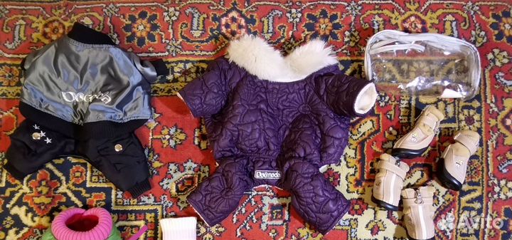 Одежда и обувь для маленьких собак