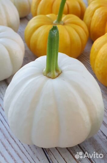 Тыквы декоративные
