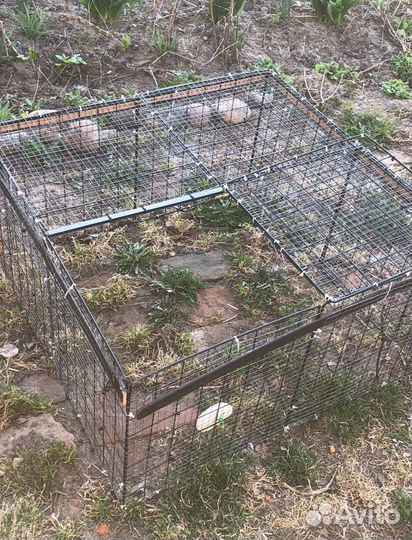 Клетка для грызунов