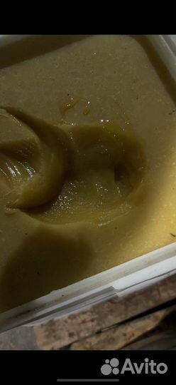 Мед подсолнух оптом