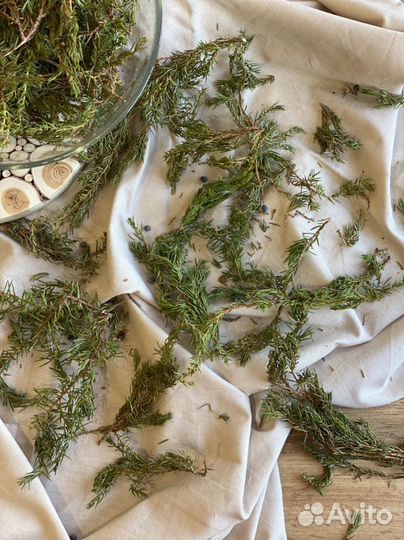 Сухая отборная хвоя можжевельника