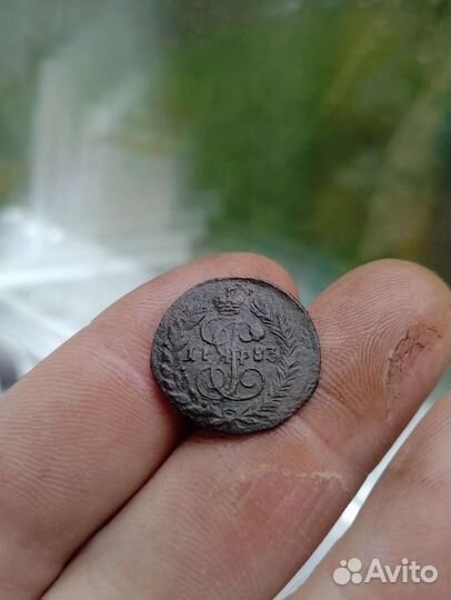 Деньга, полушки, Сибирь