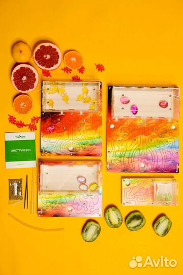 Ферма с муравьями / Формикарий