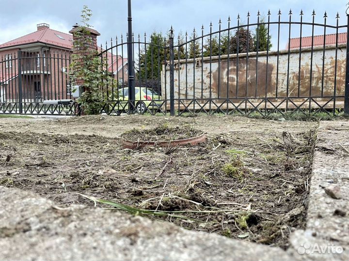 Рулонный газон