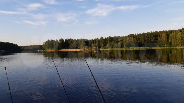 Участок 11 сот. (СНТ, ДНП)