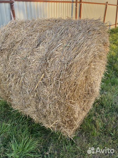 Солома в рулонах пшеничная