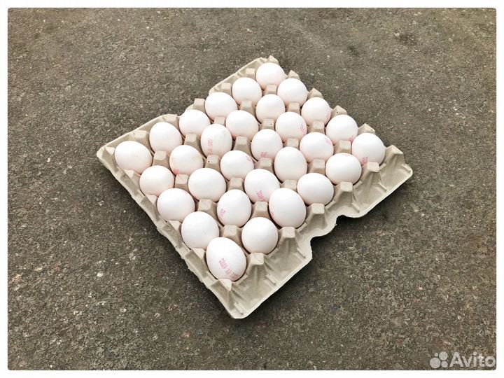 Яйцо куриное с1 белое / продажа от 3 десятков