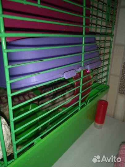 Хомяк с клеткой