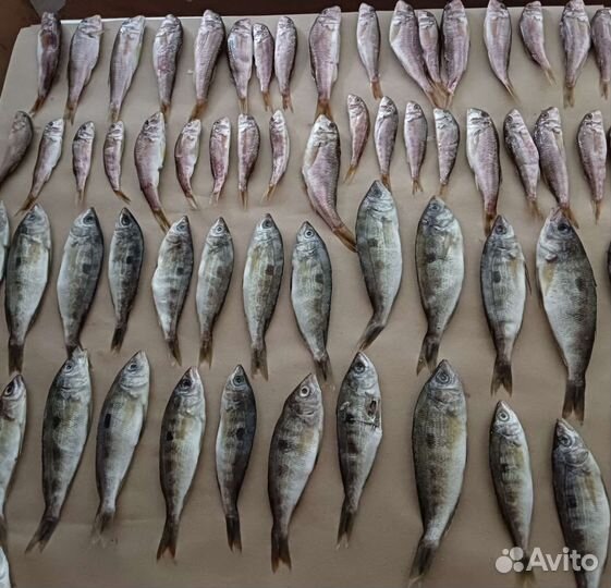 Вяленая рыба Черноморская и х/к под заказ