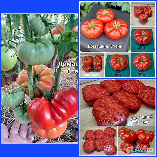 Набор крупноплодных сортов томата