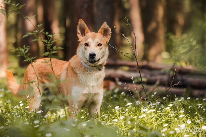 Лэнвилл в ожидании своей семьи