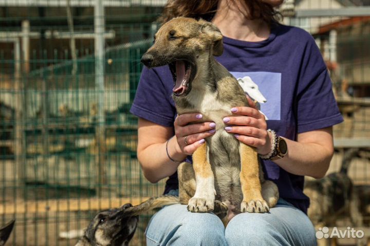 Маленькая красавица Хильда в самые добрые руки