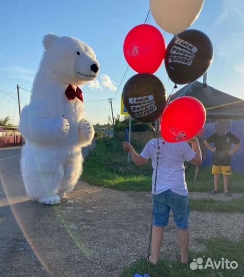 Белый Мишка на поздравление