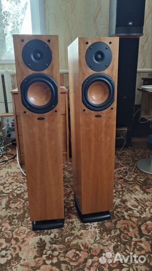 Акустика Chario Silhouette 100 TW