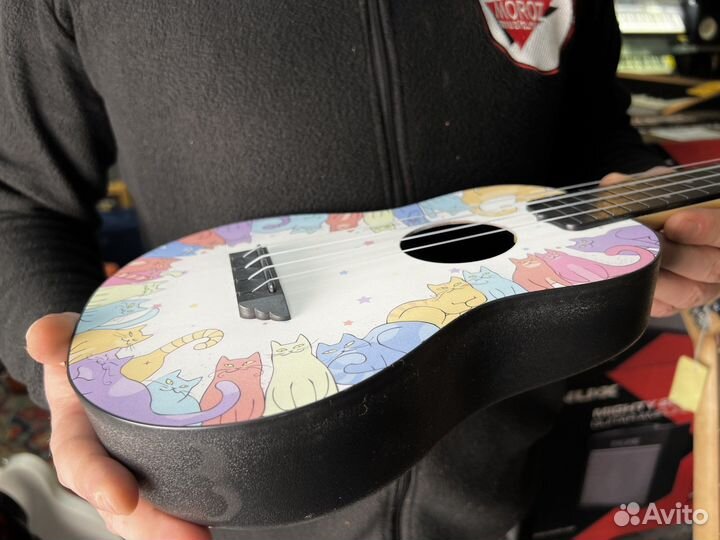 Укулеле flight концерт