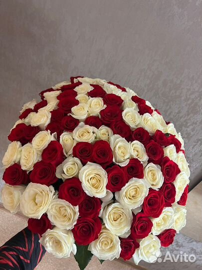 101 роза цветы с доставкой
