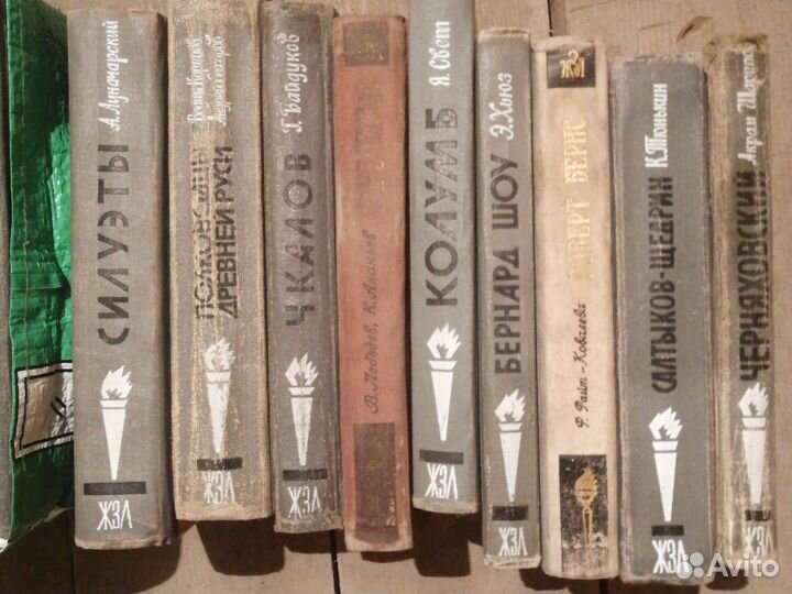 Книги из серии жзл