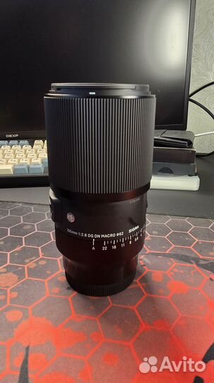 Sigma 105mm f/2.8 DG DN Macro Art Sony E