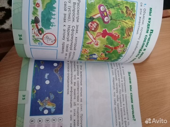 Рабочая тетрадь Окружающий мир 1 класс