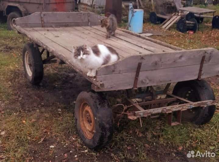 Телега для лошади