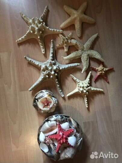 Морская тематика звезды, наборы ракушек
